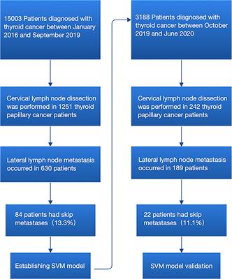 A Novel and Effective Model to Predict Skip Metastasis in Papillary Thyroid Carcinoma Based on a Support Vector Machine